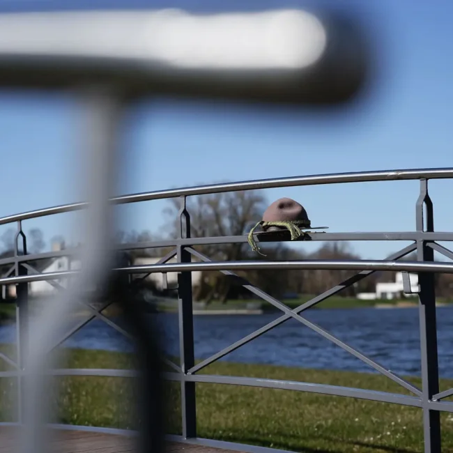 005 skautiska meskute telsiuose 2025 04 11