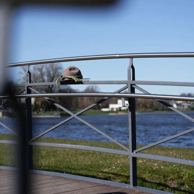 006 skautiska meskute telsiuose 2025 04 11