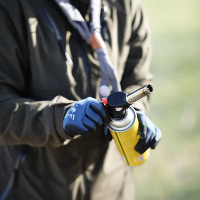 056 skautiska meskute telsiuose 2025 04 11