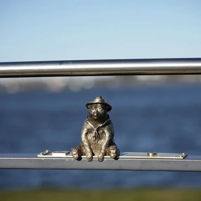 Skautiškas meškiukas Zenonas Telšiuose