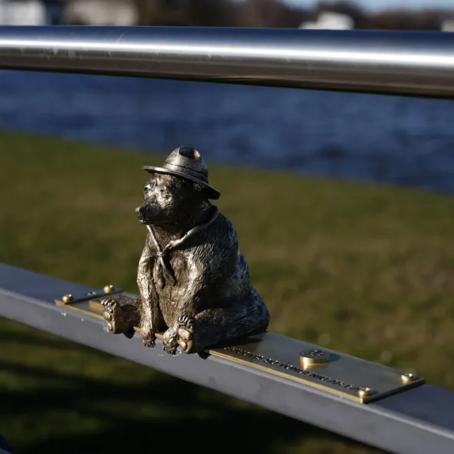 Skautiška meškutė saulėje Masčio ežero pakrantėje