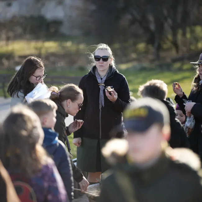 223 skautiska meskute telsiuose 2025 04 11